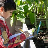 Citysprouts Inc - Landscape Architects in Cambridge