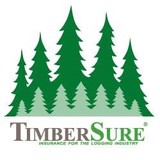 Timbersure - Other in Glenelg