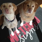 Wetchco Signs - Manufacturer in Frederick