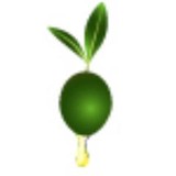 Weyira Olive Oil & Vinegar Tasting Gallery - Manufacturer in Hagerstown