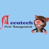 Accutech Pest Management - Pest Control in Pasadena