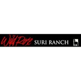 Wild Rose Suri Ranch - Other in Havre de Grace