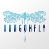 Dragonfly Media Group - Graphic Design in Baltimore
