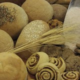 Spring Mill Bread CO - Bakeries in Rockville