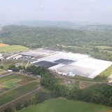 Dan Schantz Farm & Greenhouses - Other in Rising Sun
