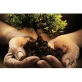 Doctor Tree - Tree Services in Hagerstown