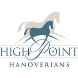 High Point Hanoverian - Other in Chestertown