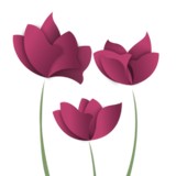 Joanne Block Rief, D.D.S. - Dentists in Owings Mills