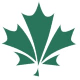 Maple Leaf Rain Gutter Service - Gutter Services in Silver Spring