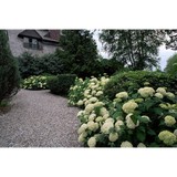 All Weather Property Services - Landscaping in Annapolis
