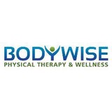 BodyWise Physical Therapy And Acupuncture, LLC - Physiotherapy in Columbia
