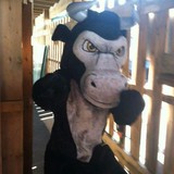 Bull on the Beach - Restaurants in Ocean City