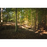 Beech Grove Farm Inc - Other in Gambrills