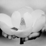 Evergreen Cove Holistic Learning Center - Yoga in Easton