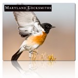 Maryland Locksmiths - Keys & Locksmiths in Baltimore