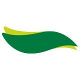 Ccg Greenery Inc - Florists in Hollywood