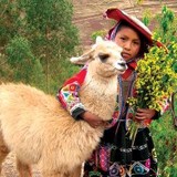 CHASKA INTERNATIONAL - Accessories in Manchester