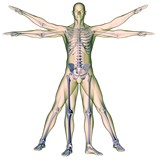 Michael Jeff DC - Chiropractors in Berlin