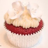 Savvy Treats DC Cupcake Delivery and Catering - Bakeries in Rockville