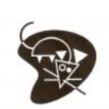 Run Mice Run Rat Run LLC - Pest Control in Pikesville