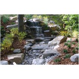 Xtra Care Landscaping - Landscaping in Rockville