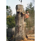 Comprehensive Tree Care Inc - Landscaping in Frederick