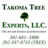 Takoma Tree Experts Inc - Landscaping in Hyattsville