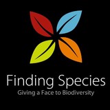 Finding Species Inc - Other in Takoma Park