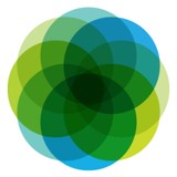 Center For Survivor Agency And Justice - Other in Chevy Chase