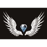 Movers on Duty - Movers & Removals in Gaithersburg