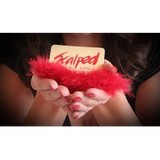 Scalped Salon & Spa - Other in Prince Frederick
