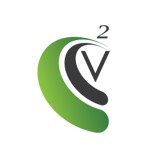 C2 Vizion , LLC - Other in Brandywine