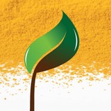 Truceuticals LLC - Other in Chevy Chase