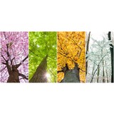 Tree Pros LLC - Other in Cockeysville