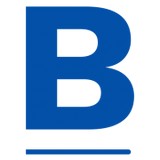 Bolton Partners Inc - Business Consulting in Baltimore