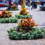 Rolling Greens Inc - Landscape Architects in Clinton