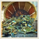 Bo Brooks Restaurant - Restaurants in Baltimore