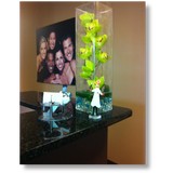 Congressional Dental Care - Dentists in Rockville