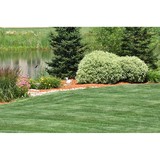 Pardoe's Lawn & Tree Service Inc - Landscape Architects in Easton