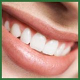 Lepore Lynda M DDS - Dentists in Silver Spring