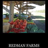 REDMAN FARMS - Other in Chestertown