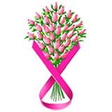 Living In Pink Inc - Other in Chevy Chase