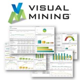 Visual Mining Inc - Software Development in Rockville