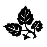 Maxalea Inc - Landscape Architects in Baltimore