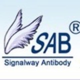 Signalway Antibody LLC - Other in College Park