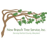 New Branch Tree Service Inc - Tree Services in Aberdeen