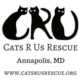 Cats R Us Inc - Other in Gambrills