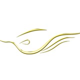 Kaydelon, Inc. - Other in Catonsville