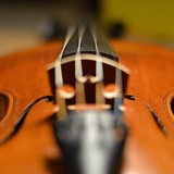 Lashof Violins - Musical Instruments & Services in Gaithersburg