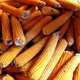 Beth's Farm Market - Food & Related Products in Warren